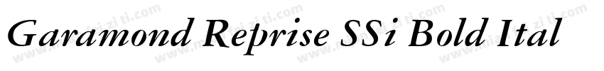 Garamond Reprise SSi Bold Italic字体转换
